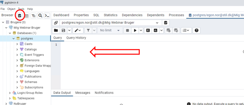 Billedet viser markering af Postgres og ikonet for browser 